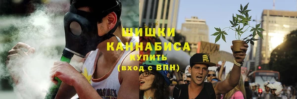 индика Верхний Тагил